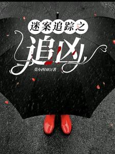 迷案追踪小说大结局